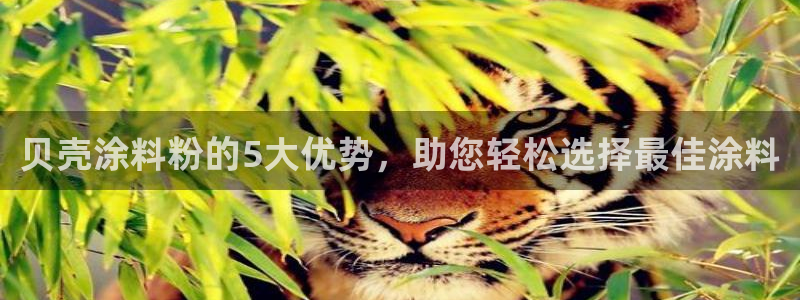 爱游戏平台的