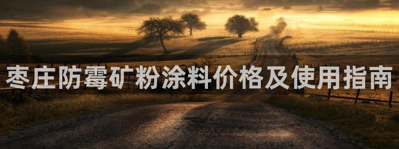 爱游戏爱体育官网