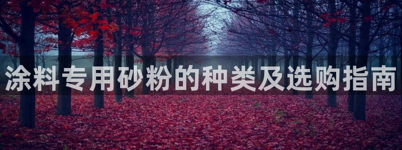 爱游戏全站app在线平台官网