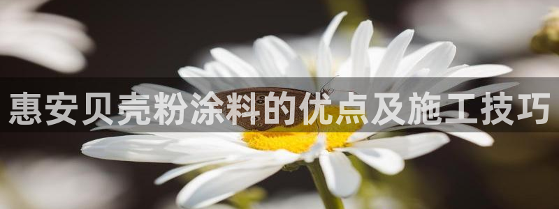 爱游戏app官方入口最新版