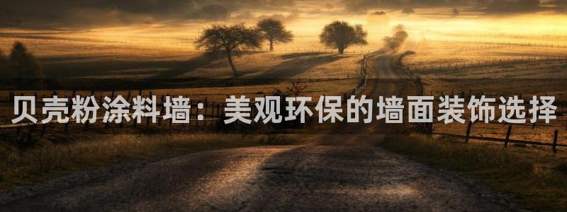 爱游戏官网客户端