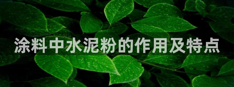 爱游戏ayx官网