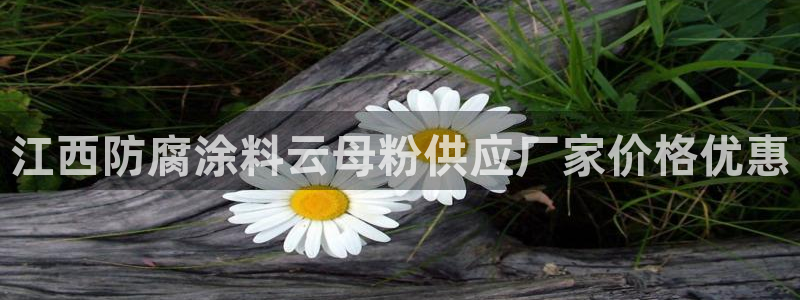 爱游戏电竞官网