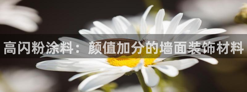 ayx爱游戏app官网登录