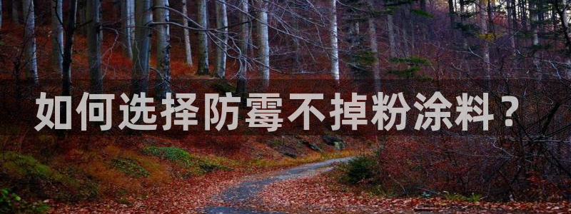 爱游戏电竞平台官网