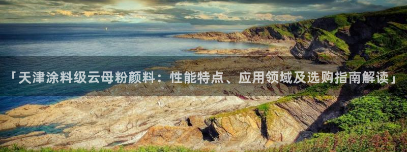 爱游戏app官方入口最新版