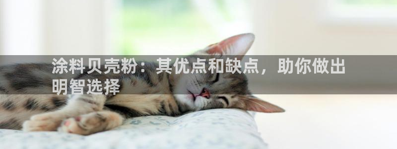 爱游戏电子竞技平台官网