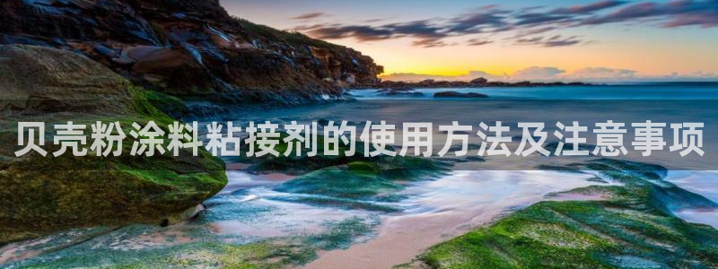 爱游戏乐鱼