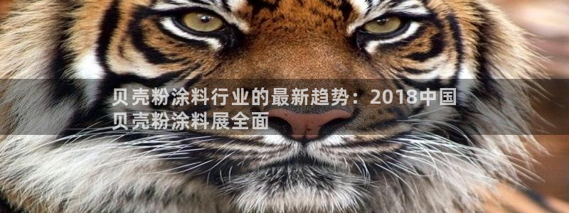 爱游戏ayx官网