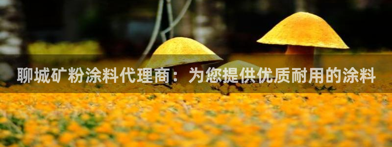 爱游戏官网yb4m代理体系