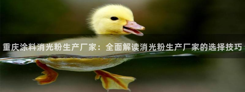 爱游戏平台