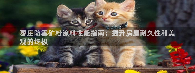 爱游戏平台怎么样