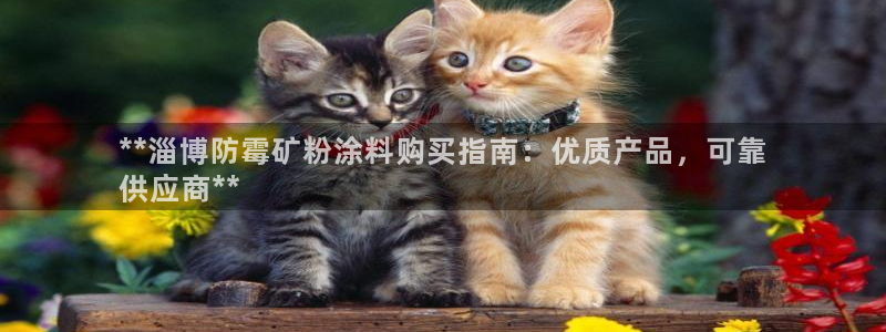 爱游戏官网赞助意甲2019