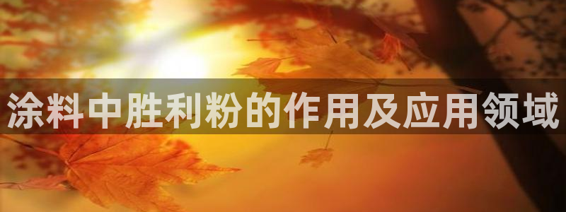 爱游戏全站app官网入口