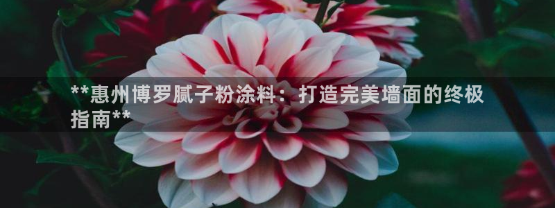 爱游戏乐鱼