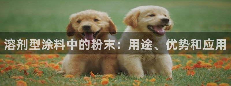 ayx爱游戏官网注册