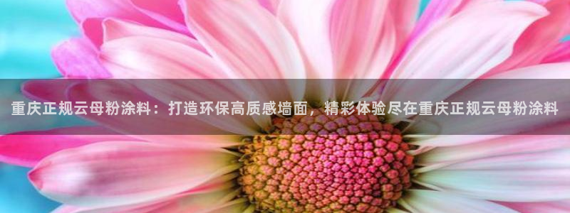 爱游戏百家网站官网