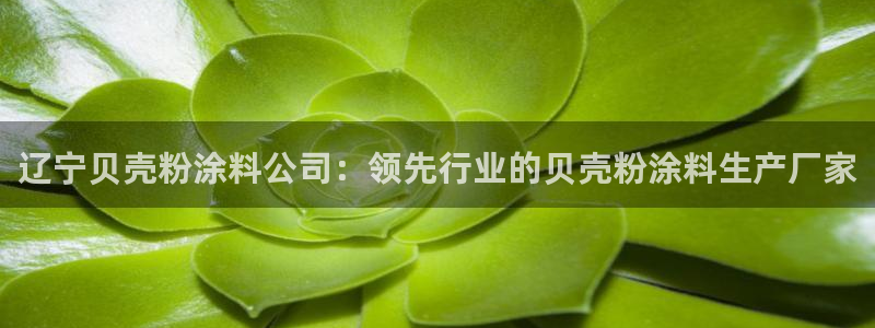 爱游戏平台app下载
