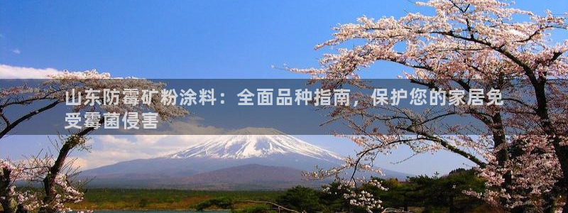 爱游戏app官网