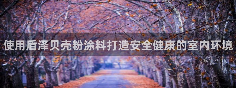 ayx爱游戏网页版官网