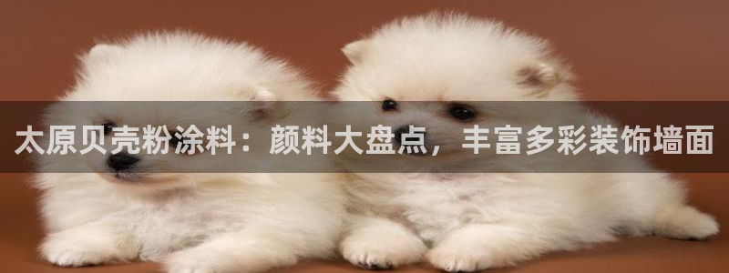 爱游戏301官网