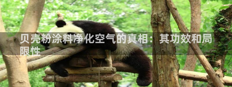 爱游戏301官网