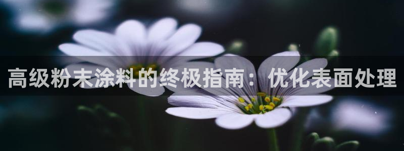 爱游戏平台信誉好18