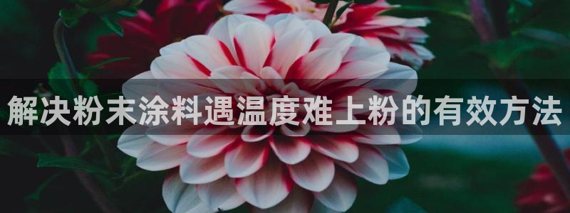 爱游戏电子竞技平台官网