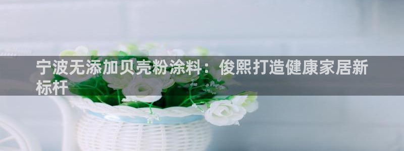 爱游戏open平台