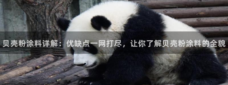 爱游戏好盟平台成立一周年