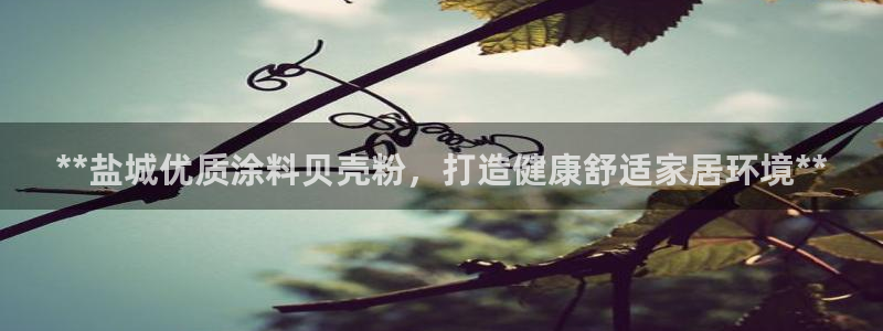 爱游戏app官网有实力0