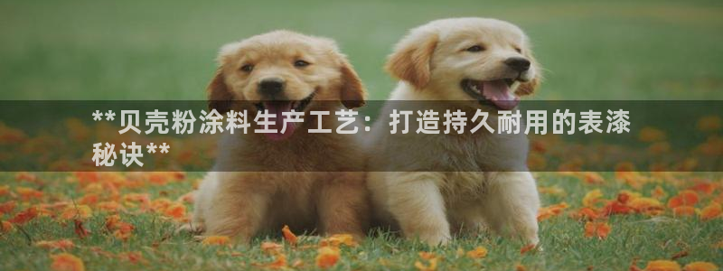 ayx爱游戏app平台