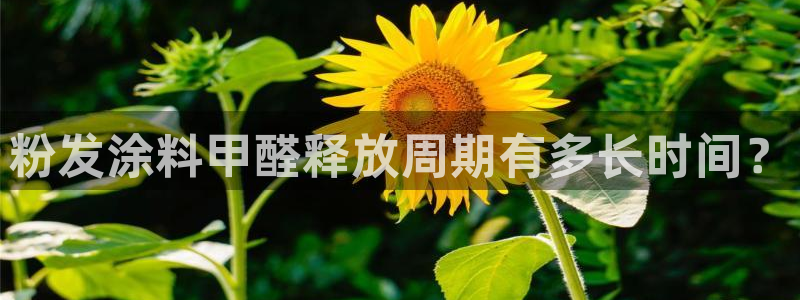 爱游戏平台app下载
