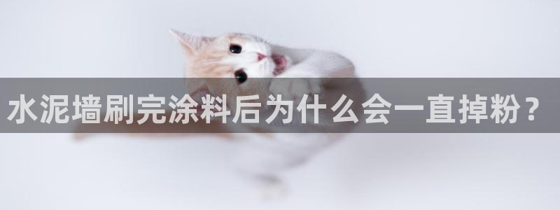 爱游戏平台最新版