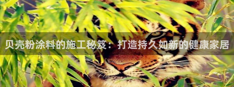 爱游戏中国官网