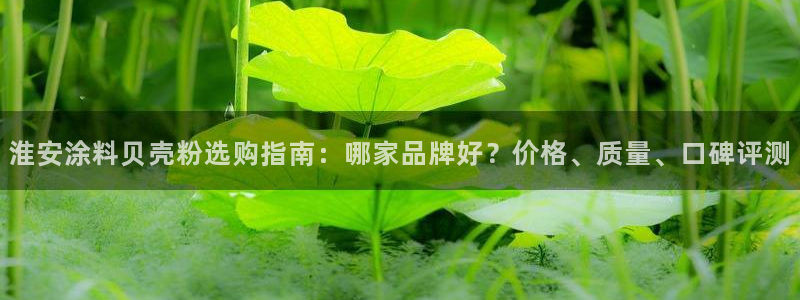 爱游戏app官网有实力04