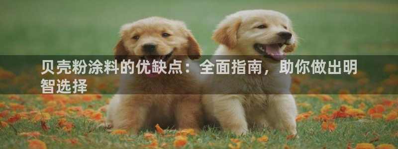 爱游戏app官网登录入口下载：贝壳粉涂料
