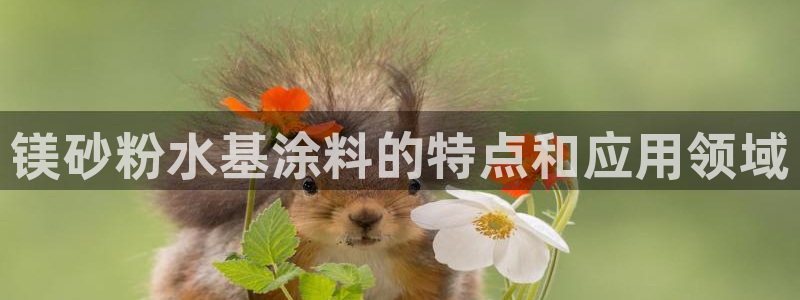 爱游戏平台