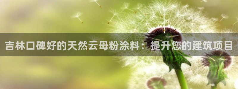 ayx爱游戏app平台下载