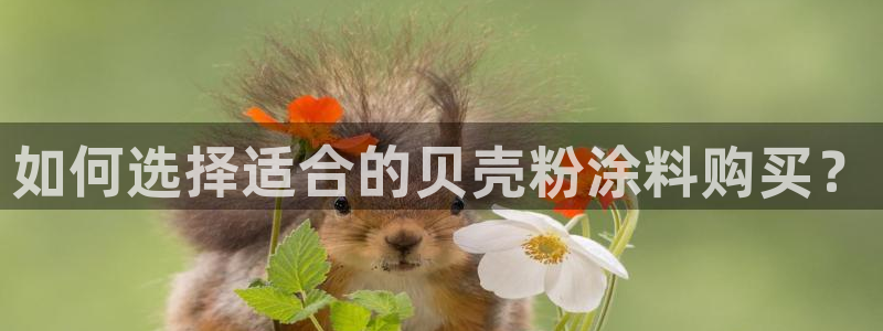 爱游戏官网赞助意甲2019