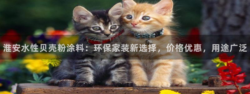 爱游戏网站平台