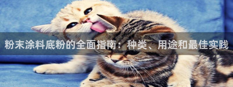 爱游戏平台入口：粉末涂料底粉的全面指南：