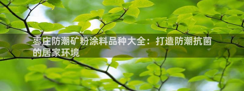 ayx爱游戏官网手机网页版