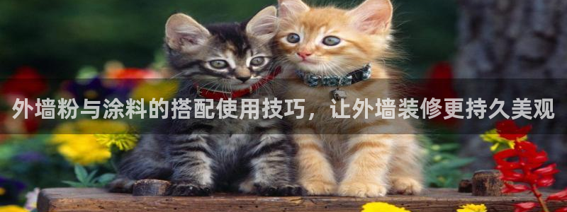 爱游戏综合体育平台
