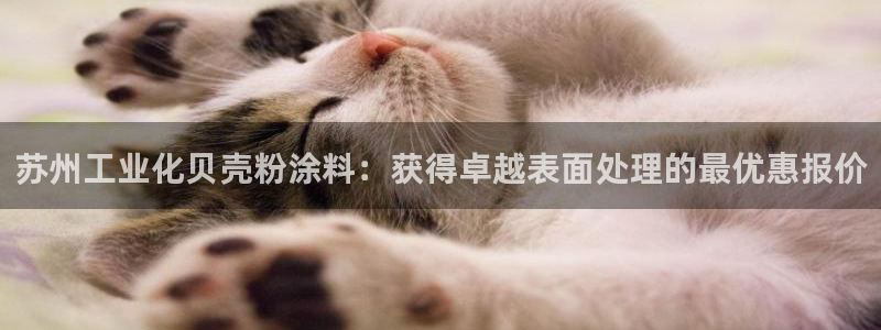 爱游戏open平台