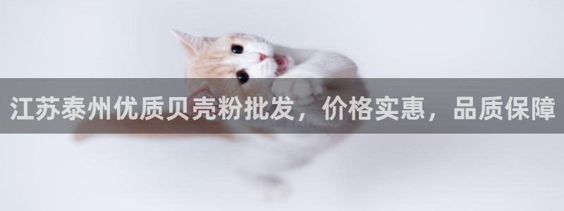 爱游戏网页版官方入口官网