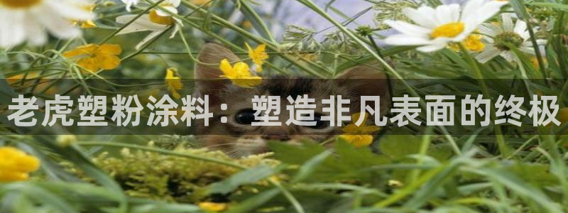 爱游戏足球官网：老虎塑粉涂料：塑造非凡表