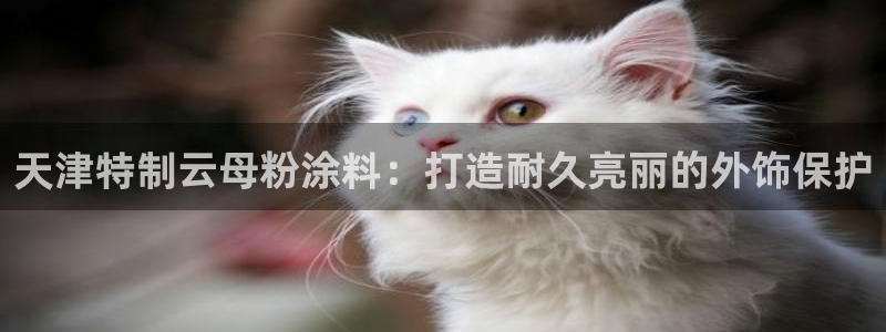 ayx爱游戏网页版官网：天津特制云母粉涂