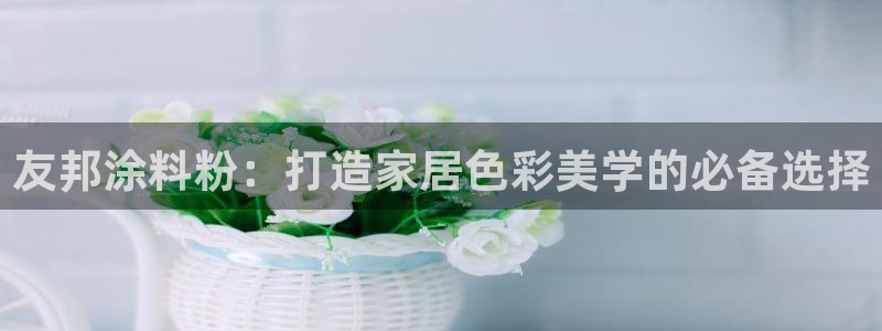 ayx爱游戏平台官网：友邦涂料粉：打造家