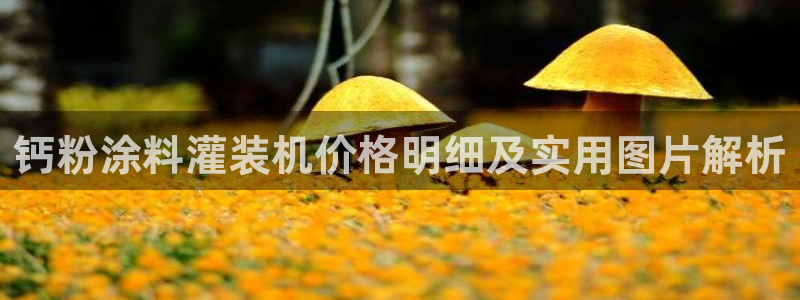 ayx爱游戏app下载官网：钙粉涂料灌装